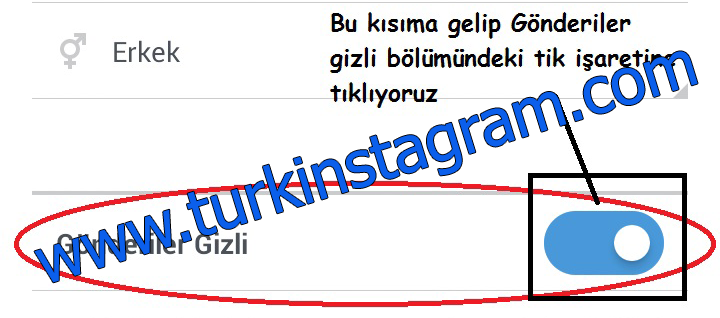 Instagram Profili Gizleme ve Gizliliği Kaldırma